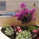 Отель Rosina 4*