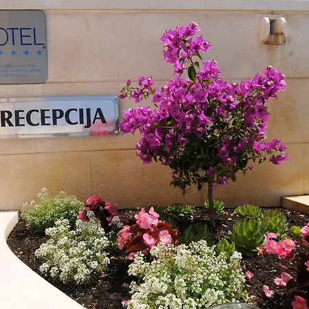 Hotel Rosina 4*
